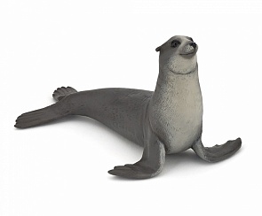 Фигурка - Морской лев (Papo, 56025_papo)